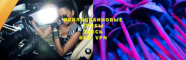 ПСИЛОЦИБИНОВЫЕ ГРИБЫ Богородск