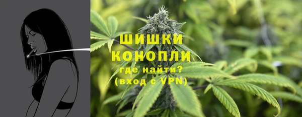 Альфа ПВП Осинники