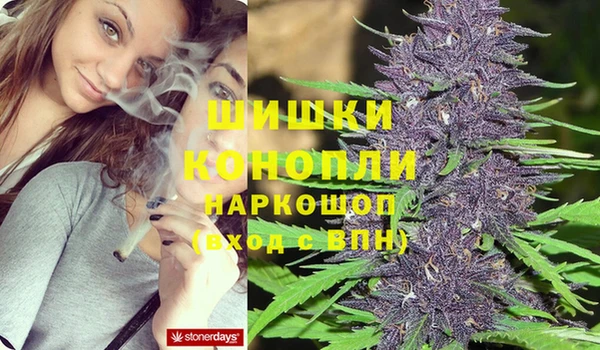 a pvp Богородицк