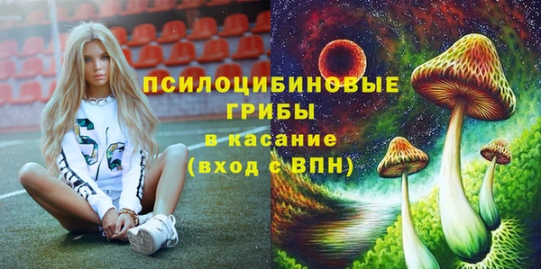 соль ск Белокуриха