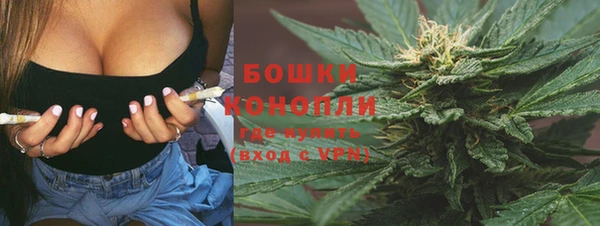 mdpv Богданович