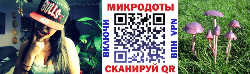 Галлюциногенные грибы мицелий блэк спрут рабочий сайт Мегион дарнет шоп